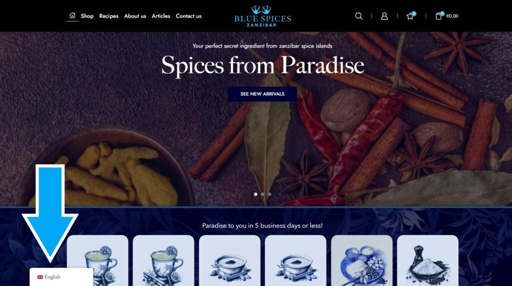 Simply IT Multilingual Seo website for Blue Spices in German