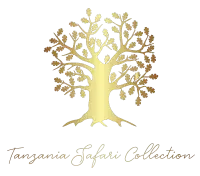 TOUR DELLA COLLEZIONE SAFARI IN TANZANIA